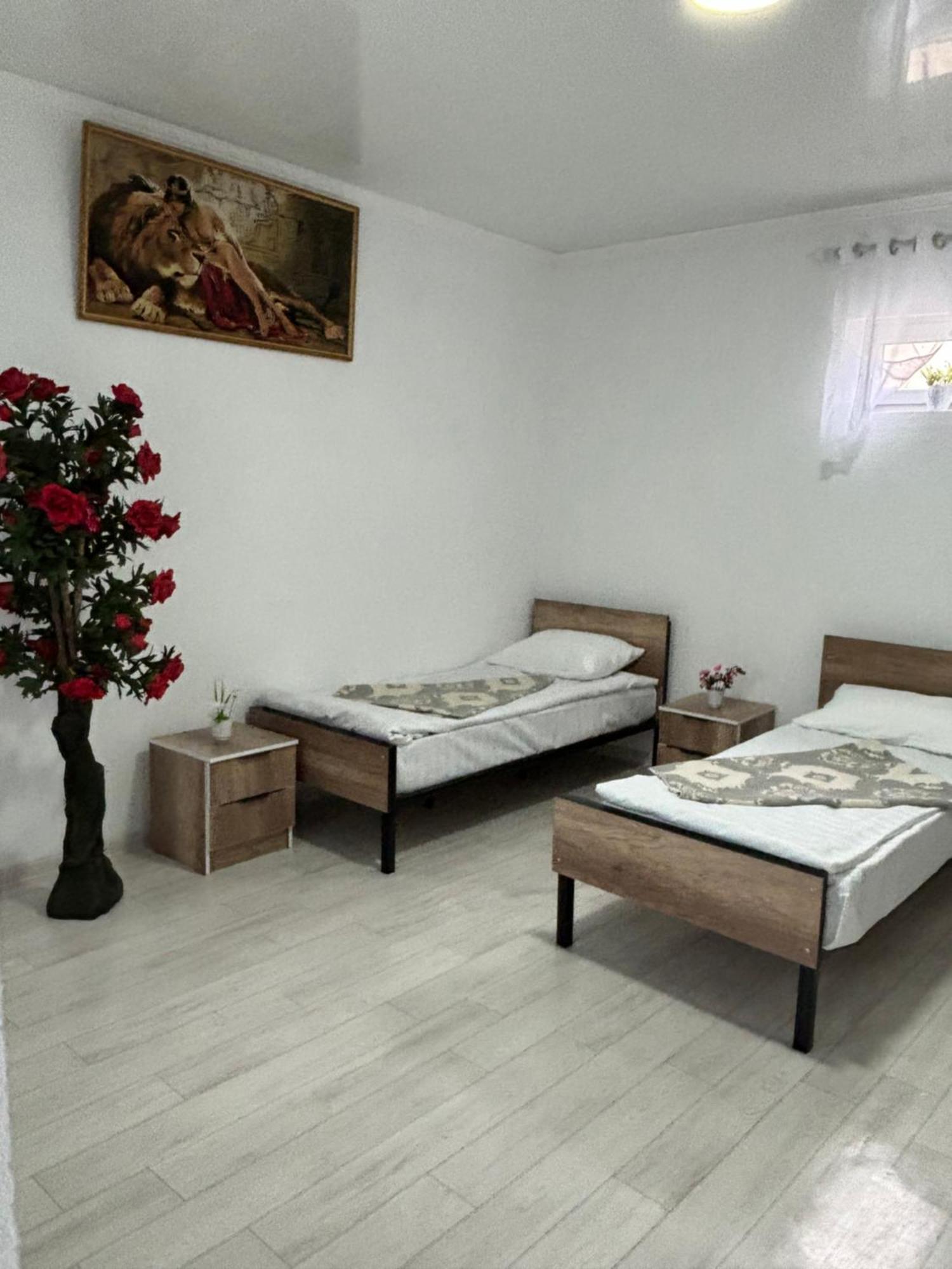 Hostel,Halal Хостел,Халал Tokmok 外观 照片